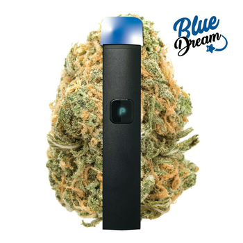 VAPE - 1g ALL IN ONE JUSTplay™ Blue Dream